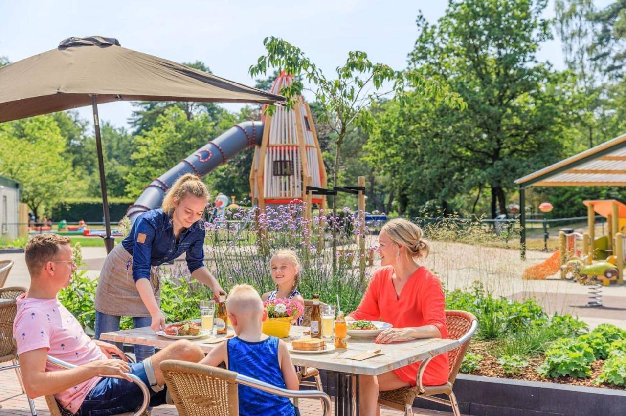 Rcn Vakantiepark de Noordster in Nationaal Park Dwingelderveld