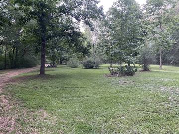 Log Cabin for 8 Guests in Mississippi, USA, Picture 3