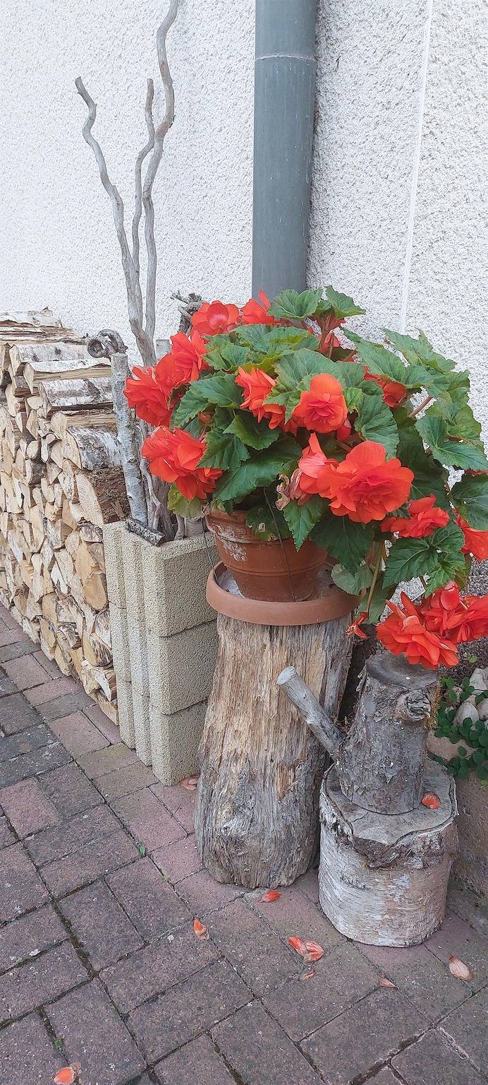 Ferienwohnung in Trassem, Landkreis Trier-Saarburg