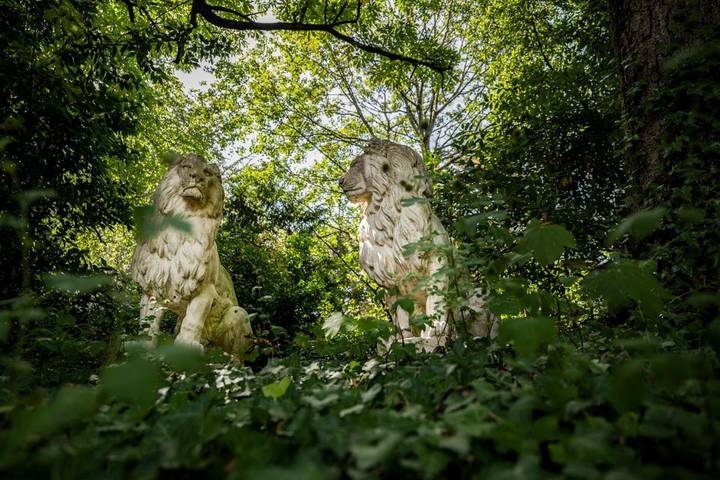 Gîte pour 2 personnes, avec sauna et jardin ainsi que vue et piscine à Sainte-Gemme-la-Plaine - 4