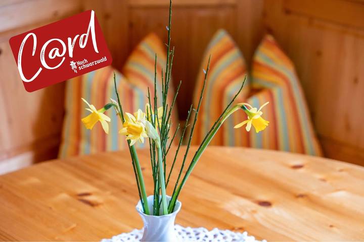 Ferienwohnung für 3 Personen, mit Garten in Titisee-Neustadt - 2