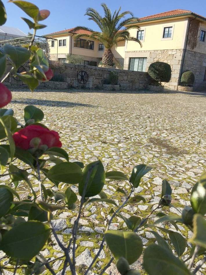 Location de vacances pour 3 personnes, avec Terrasse ainsi que Jardin et Piscine dans Tarouca - 2