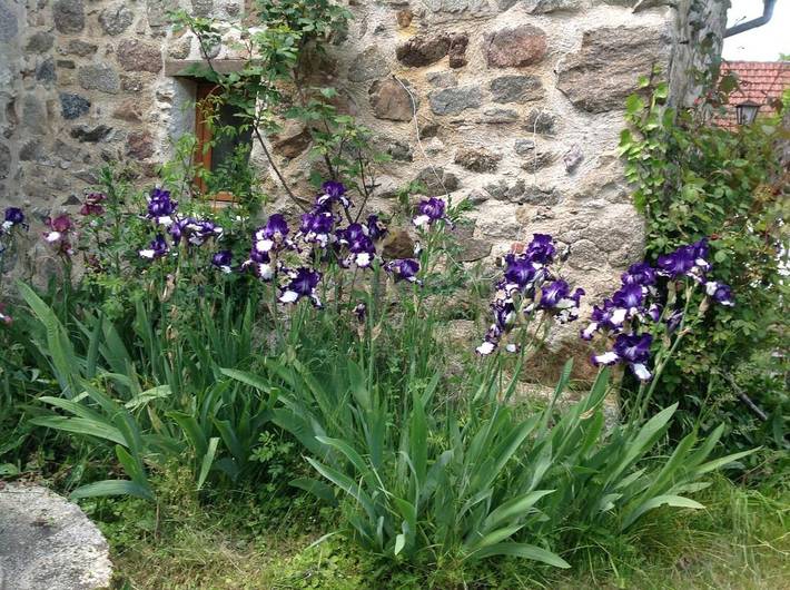 Location de vacances pour 4 personnes, avec terrasse, animaux acceptés à Maleville - 3