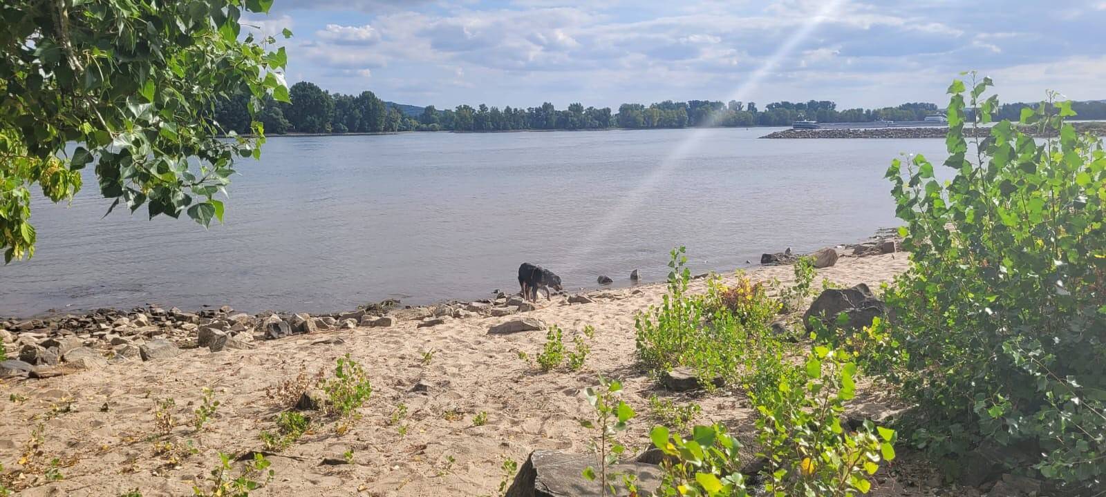 Ganze Wohnung, Ferienwohnung 'Augusta' mit privater Terrasse und Wlan in Geisenheim, Rheingau-Taunus-Kreis