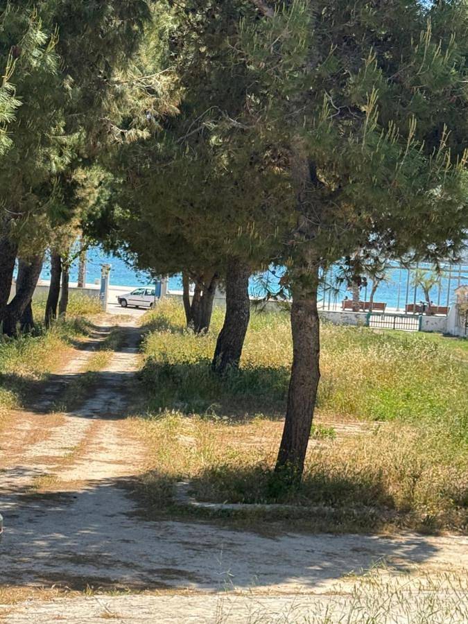 Maison de vacances pour 3 personnes, avec Balcon et Terrasse ainsi que Jardin et Vue à Torre Canne