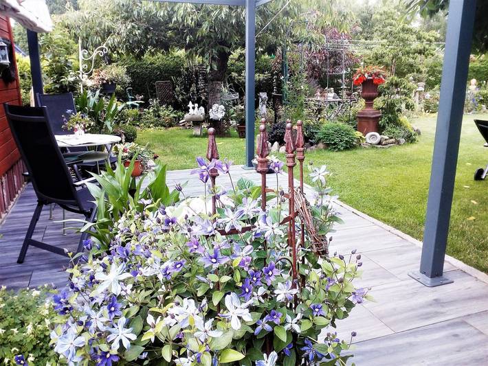 Ferienhaus für 3 Personen, mit Terrasse und Garten im Lausitzer Seenland - 4