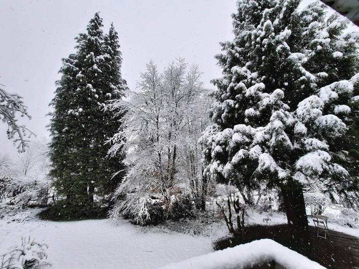 Location de vacances pour 4 personnes, avec vue et jardin à Vresse-sur-Semois - 3