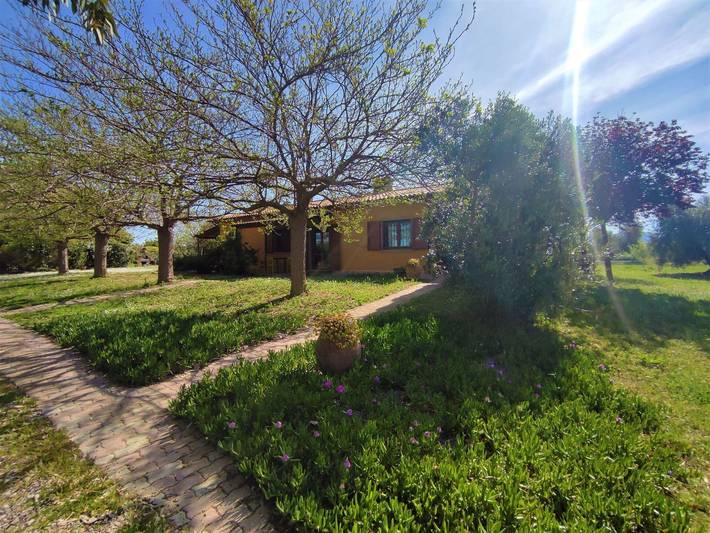 Agriturismo per 4 persone, con piscina e giardino, con animali domestici in Roccastrada