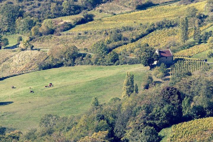 Gîte pour 8 personnes, avec jardin et vue dans Gizia