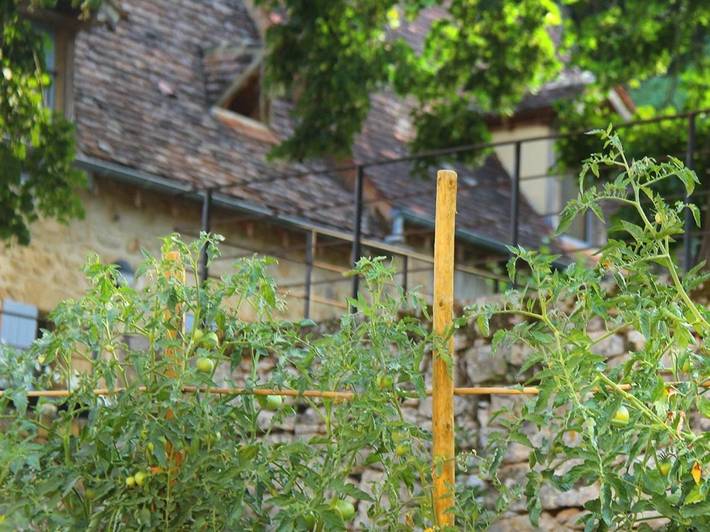 Location de vacances pour 5 personnes, avec vue à Beynac-et-Cazenac - 2