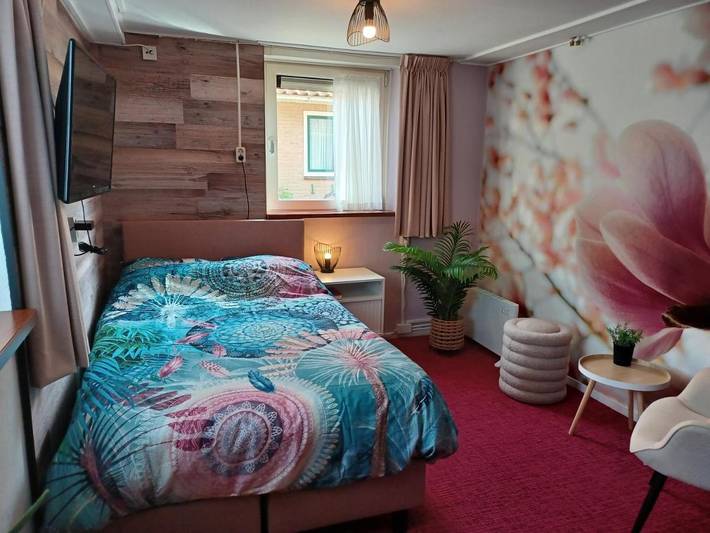 Hotel, mit Terrasse und Garten in Oosterend - 4