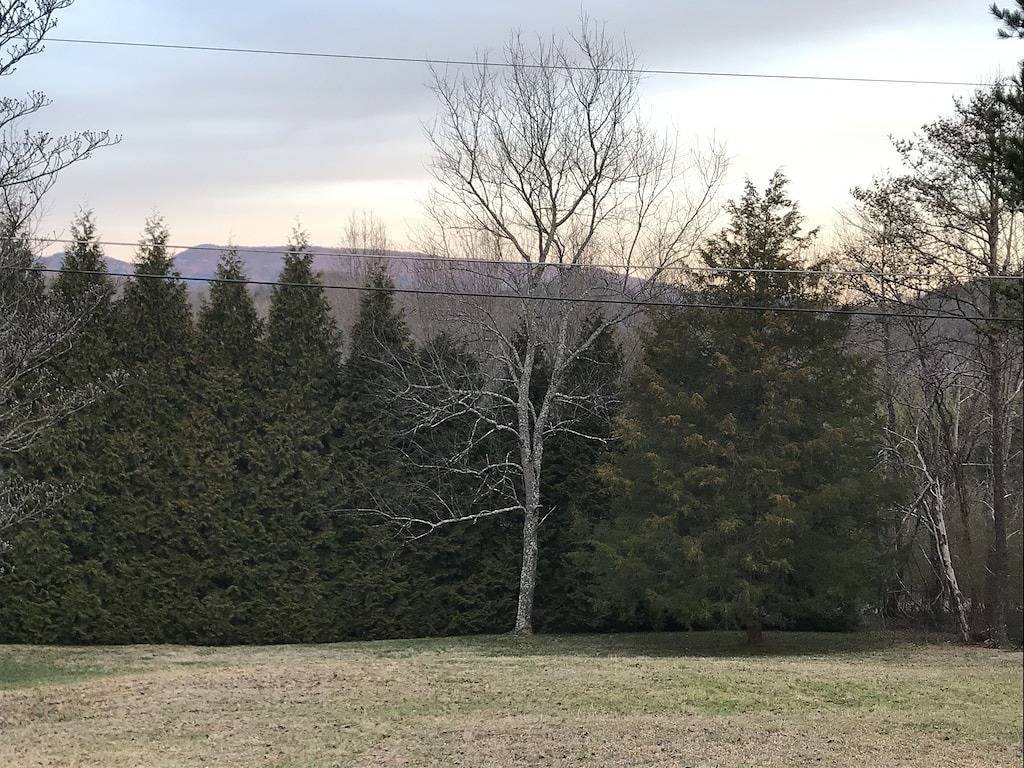 Hidden Haven - Eine private Berghütte! in Cosby (TN), Cocke County