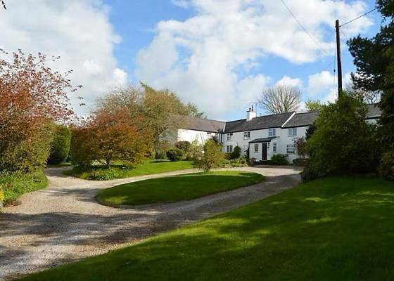 Pant y Rhedyn Glamping and camping site in Conwy region