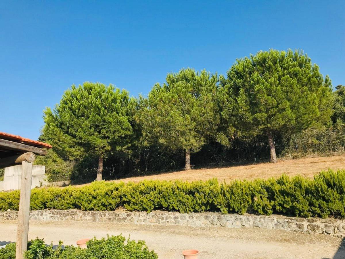 Villa in Setúbal, Parque Natural da Arrábida