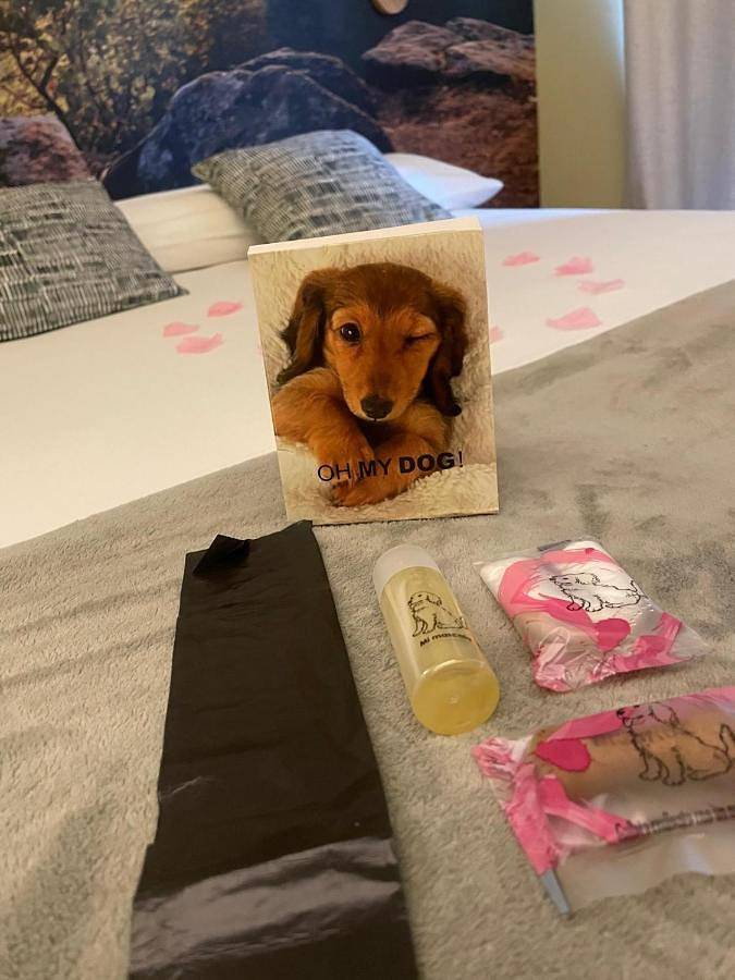 Hotel Rural Milaleku in Améscoa Baja, Cordillera Cantábrica