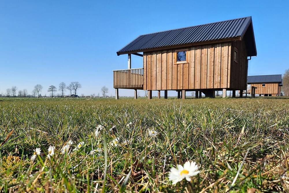 Lodge an Wiesen mit Veranda in den Niederlanden in Ruinerwold, Drenthe