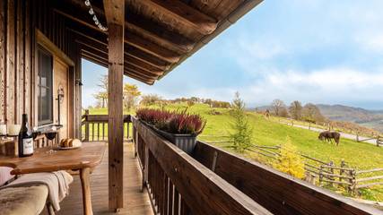 Chalet voor 3 Personen in Brilon, Hochsauerlandkreis, Afbeelding 1