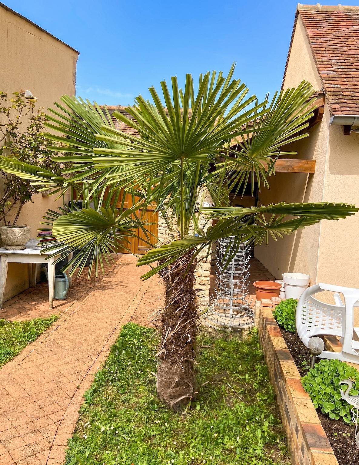 Studio entier, Charmant studio avec terrasse à Chenou, 20 m² in Chenou, Seine-et-Marne
