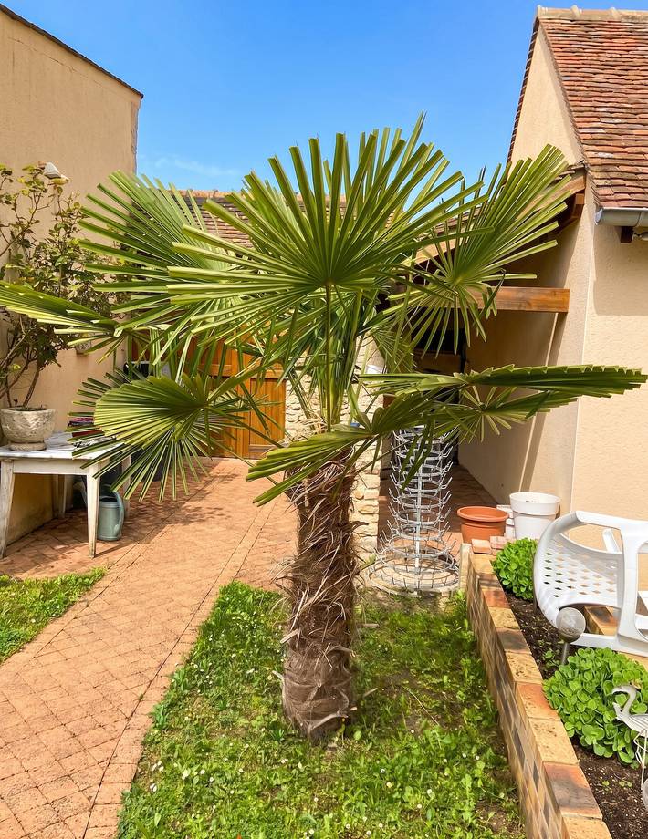 Studio pour 4 personnes, avec terrasse dans Seine-et-Marne - 4
