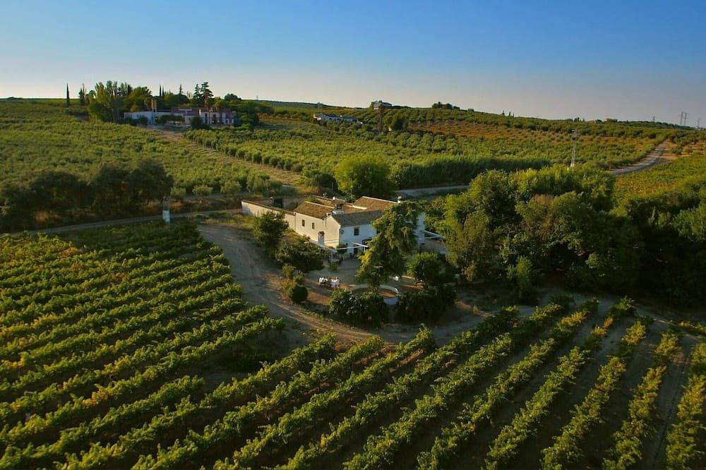 Bodega Boutique con Piscina privada, Bbq y Wifi Ideal para el relax familiar in Montilla, Provincia de Córdoba