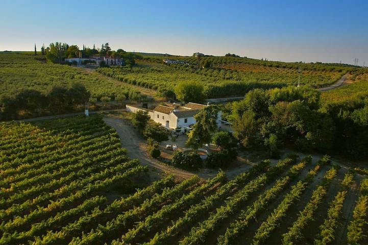 Chalet para 24 personas, con jardín - 1