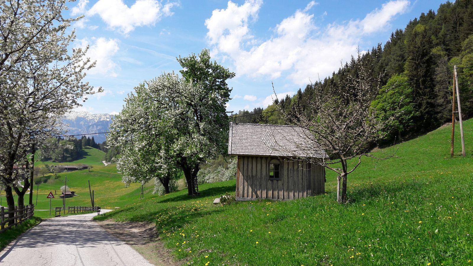 4-Bett-Zimmer in Brixlegg, Kaisergebirge