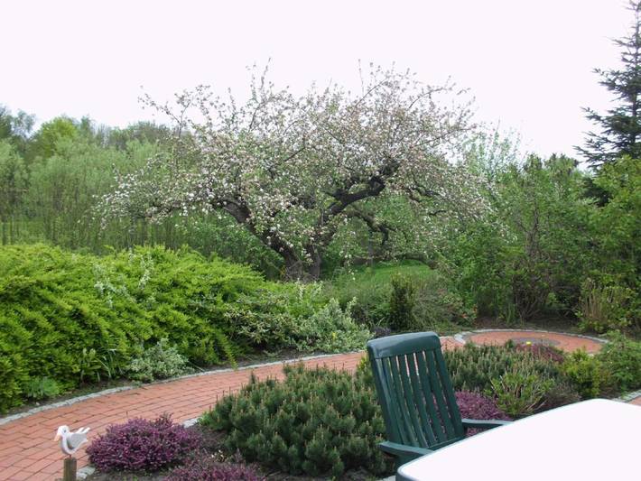 Ferienwohnung für 4 Personen, mit Terrasse und Garten in Drochtersen - 4
