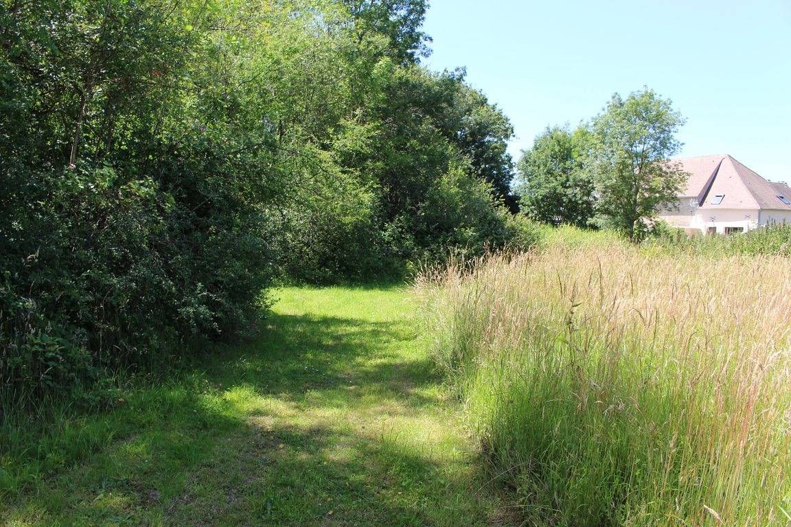 Gîte du Bois de Charbo in Saint-Jean-de-Braye, Vallée de la Loire