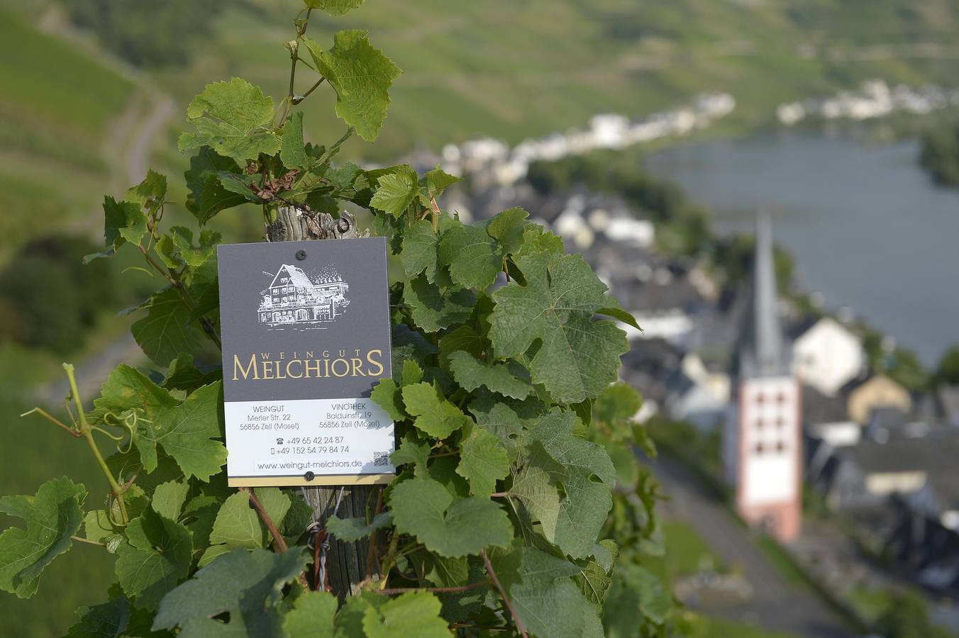 Entire holiday apartment, Weingut &amp; Gästehaus Otto Melchiors in Zell Stadt (Mosel), Zell (Mosel)