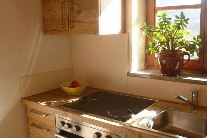 Bird apartment/1 bedroom/shower, toilet - organic farm Vorderfromm in Werfenweng, Tennengau