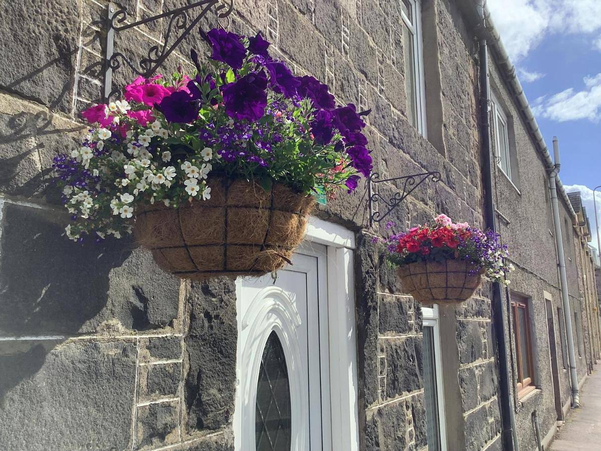 Entire apartment, The Garden Flat in Crieff, Perthshire