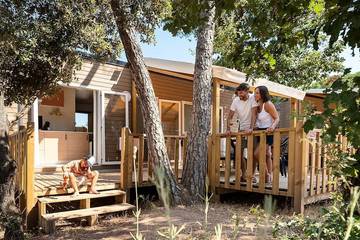 Camping pour 8 Personnes dans Le Muy, Région de Draguignan, Photo 4