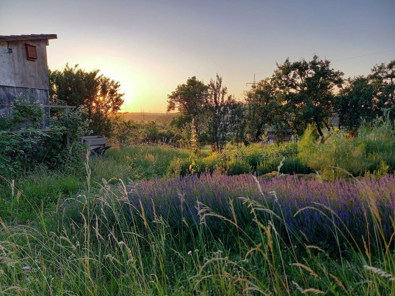 Ganze Ferienwohnung, Bauwagen 'Natur Pur/No.7' mit eigenem Freisitz und Blick über das Land. in Ötisheim, Nordschwarzwald