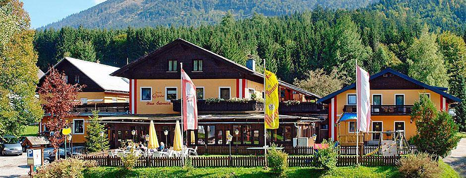 Ganze Wohnung, Haus Österreich - Familie Digruber - Studio „Trefflingfall“ in Lackenhof, Gaming