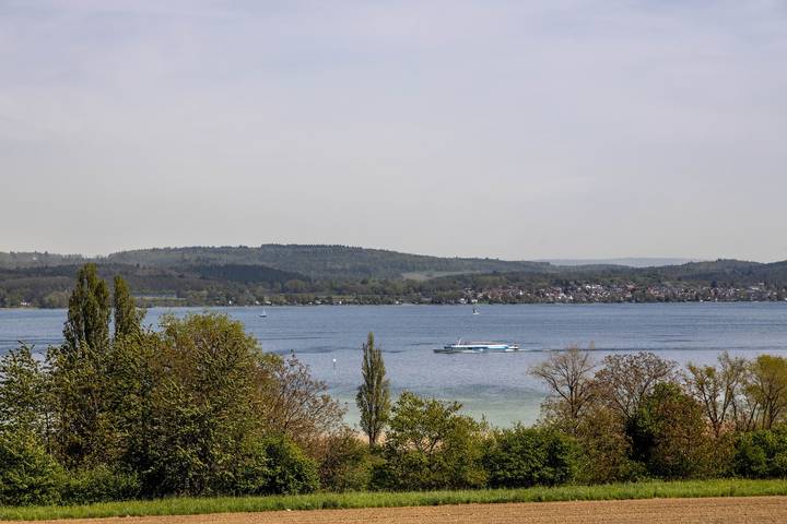 Ganze Wohnung, Premium Ferienwohnung "Waldblick" mit Balkon, Wi-Fi und Klimaanlage in Allensbach, Untersee