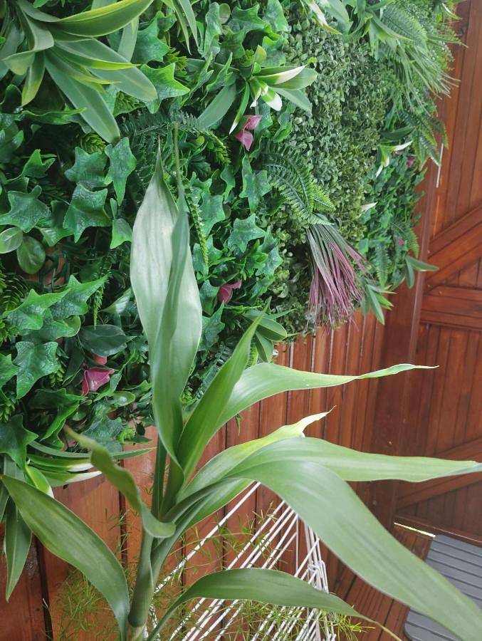 Location de vacances pour 2 personnes, avec vue dans Cité du Volcan - 4