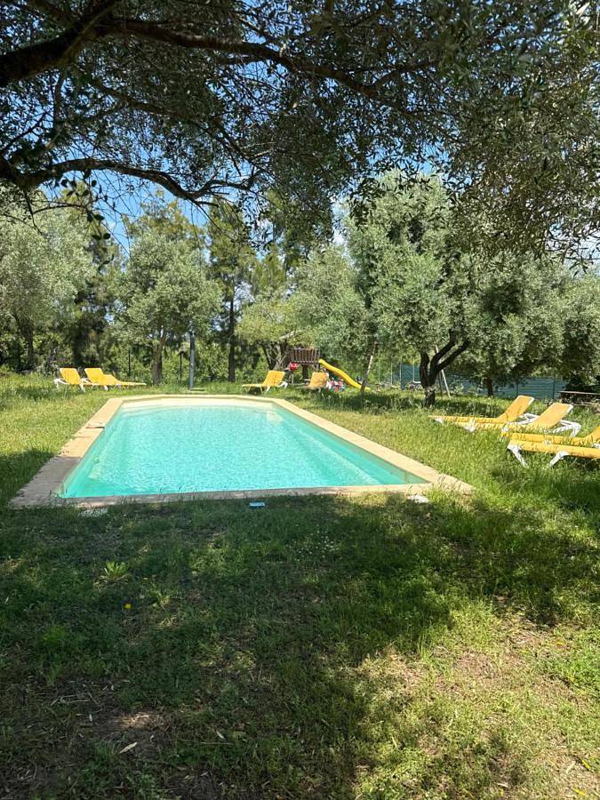 Gîte pour 2 personnes, avec Terrasse et Jardin ainsi que Piscine et Vue à Olmeta-di-Tuda - 2