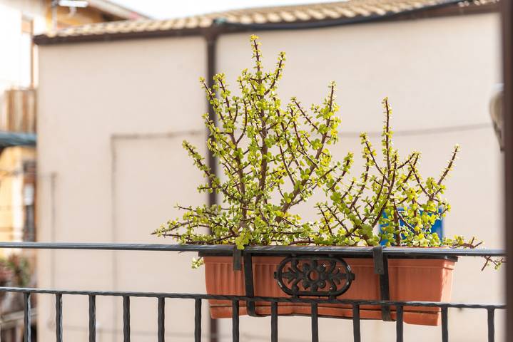Room 'B&B San Domenico - Deluxe Double' with Balcony, Wi-Fi and Air Conditioning in Realmonte, Agrigento Province
