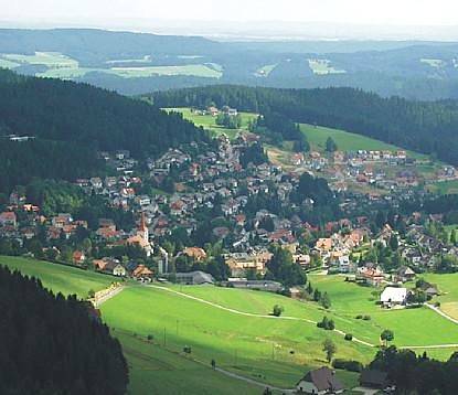 Ferienwohnung für 4 Personen, mit Balkon und Sauna sowie Balkon/Terrasse in Schonach im Schwarzwald - 3