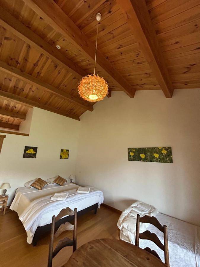 Hôtel pour 6 personnes, avec jardin ainsi que sauna et vue à Saint-Pierre-Eynac - 4