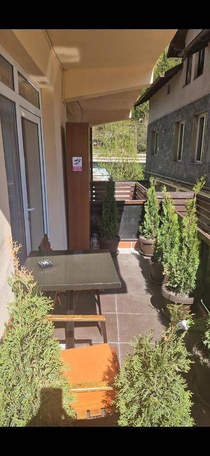 Gîte pour 5 personnes, avec balcon et vue à Sinaia - 3