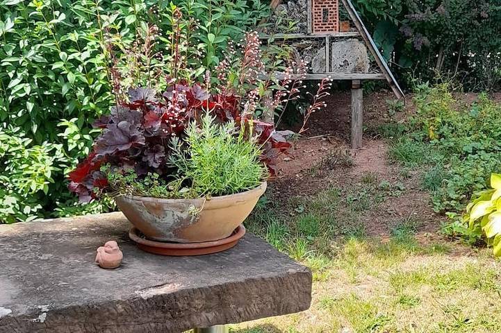 Ferienhaus für 5 Personen, mit Garten in Leinsweiler - 4