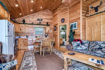 Log Cabin for 4 Guests in Wears Valley, Sevier County, Picture 4