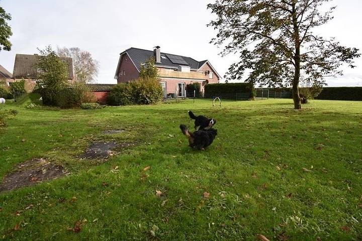 Ferienwohnung für 2 Personen, mit Garten, mit Haustier in Dornumergrode - 2