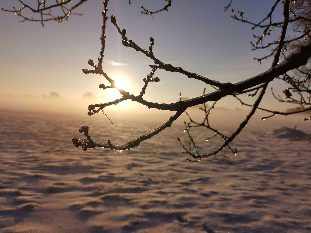 Ruheoase am Wald 35651 - Tiny House Traumblick in Uplengen, Ostfriesland