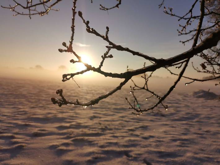 Ferienhaus für 10 Personen, mit Garten und Sauna, mit Haustier in Uplengen - 2