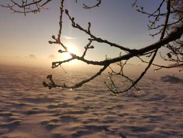 Ferienhaus für 10 Personen in Uplengen, Südliche Nordseeküste, Bild 1