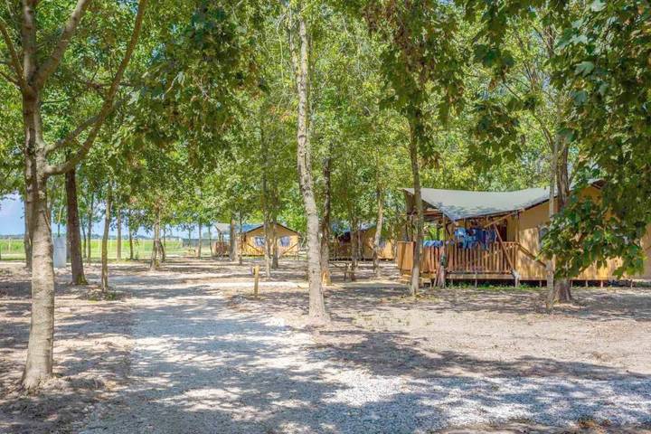 Maison de campagne pour 5 personnes, avec jardin ainsi que piscine et vue, animaux acceptés à Palazzolo dello Stella - 3