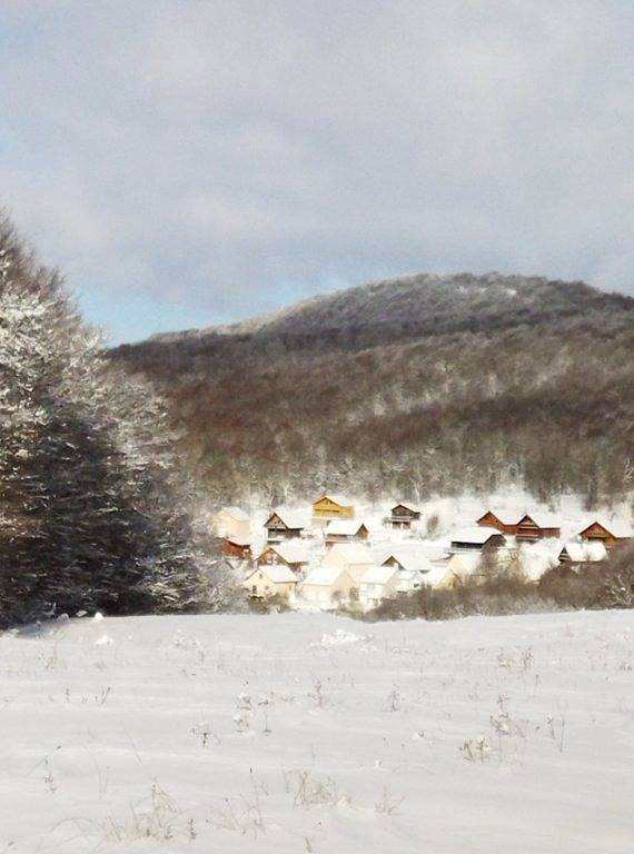 Aubrac au cœur, nature, cueillettes, randonnées sur magnifique pl in Brameloup, Prades-d'Aubrac