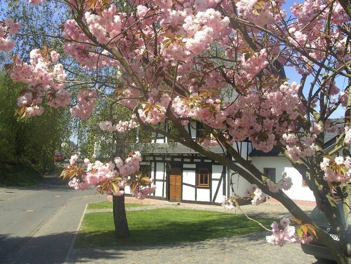 Luxus-Ferienhaus für 7 Personen, mit Terrasse und Garten im Hunsrück